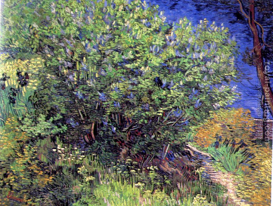 Vincent Van Gogh : Lilacs II